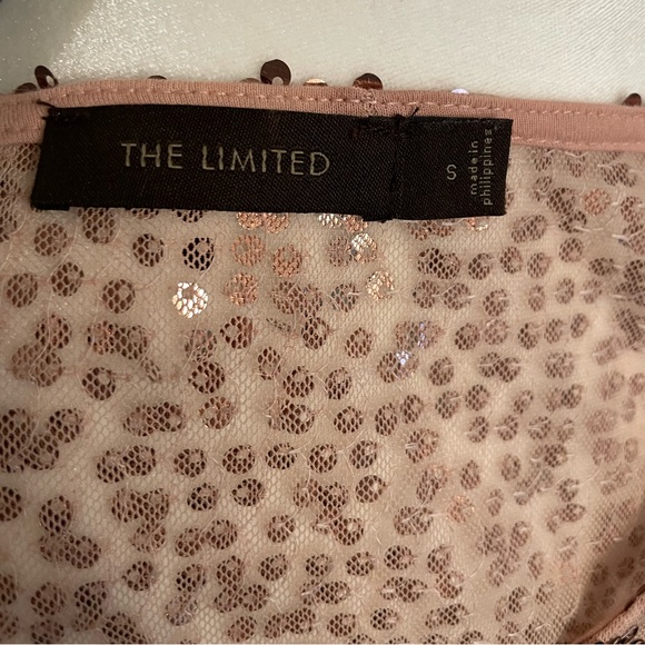 LIMITED Pink Sequin Sheer Sleeveless Blouse / Tunic - Size Small - Picture 12 of 16